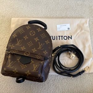 Louis Vuitton Palm Spring Mini